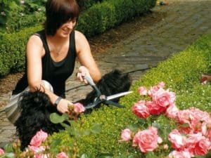 Master krušpánové nožnice pre hrubé tvarovanie