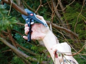 Master dámske ráčnové nožnice